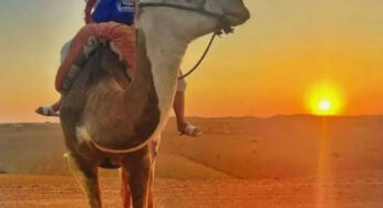 [Marrakech Desert Experience] Quads, Camels at Sunset & Romantic Dinner with Show – A Memorable Evening in Agafay