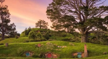 🏡 [New Zealand Movie Tour] Hobbiton Admission Ticket – Step into Middle-earth Magic