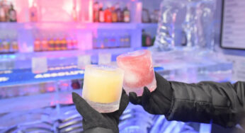 🧊 Minus 5 Ice Bar Antarctic Experience in Queenstown – A Chilling Escape into a Frozen Wonderland
