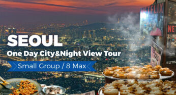 🏙️ Seoul One Day City Tour & Night View Tour