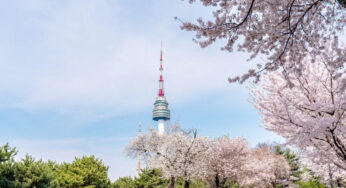 🚠 N Seoul Tower with Namsan Cable Car